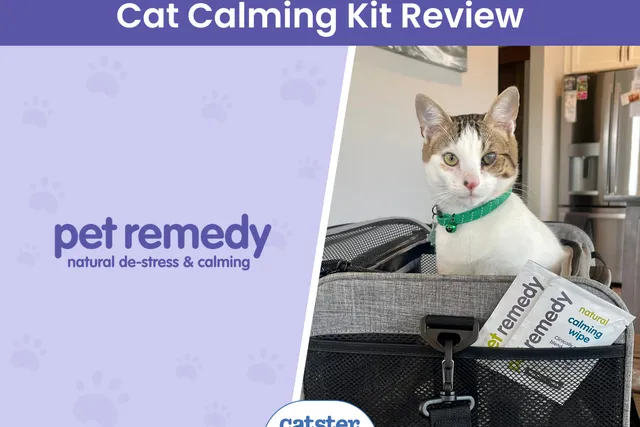 Pet Remedy Kitten Calming Kit Review 2026: Pros, Cons, & Our Verdict