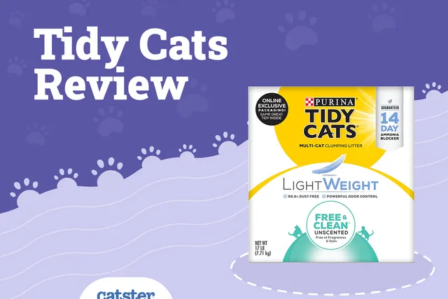 Tidy Cats Litter Review in 2026: Recalls, Pros & Cons