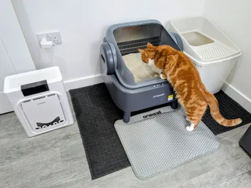 Level Up with the Self-Cleaning Litter Box From Oneisall – Our Expert’s 2026 Review