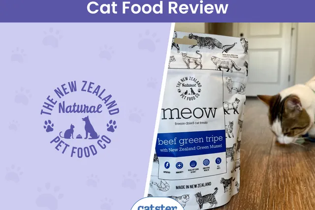 The New Zealand Natural Pet Food Co Brand Review 2026: A Detailed Look