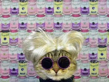 We Chat With “Cat Art Show 2” Curator Susan Michals About Her Exhibition Devoted to Cats