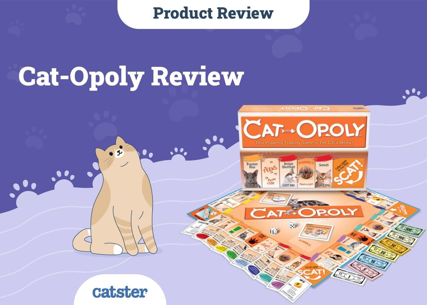 Cat-Opoly Review: The Cat Monopoly Game (2026 Review)