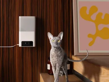 10 Best Pet Cameras for Cats in 2026 - Reviews & Top Picks