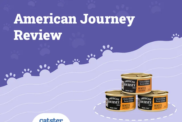 American Journey Cat Food Review in 2026: Recalls, Pros & Cons