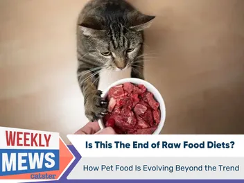 Is This The End of Raw Food Diets? How Pet Food Is Evolving Beyond the Trend