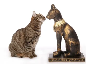 Why Did Egyptians Worship Cats? Interesting Historic Facts