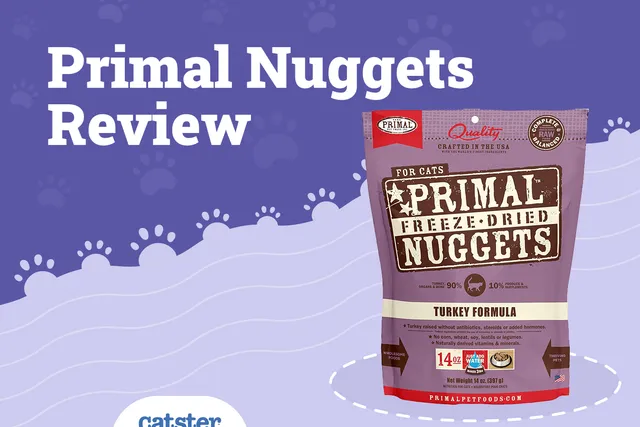 Primal Cat Food Review of 2026: Recalls, Pros & Cons
