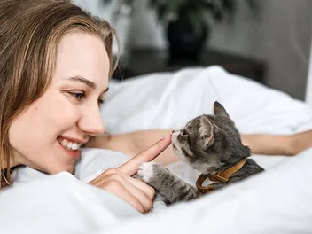 How to Foster Kittens: 9 Vet-Approved Tips