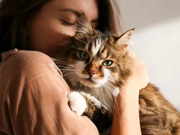 Happy Cat Month 2026: When & What It Is