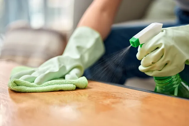How to Get Rid of Cat Pee Smell: Tips for Every Surface