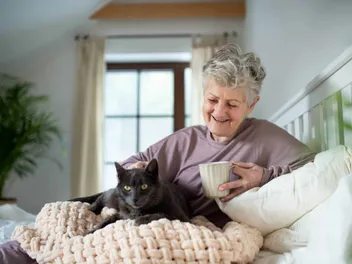 Why Does My Cat Sit On Me All The Time? 6 Vet-Verified Reasons