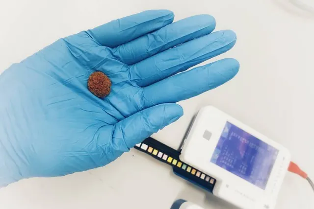 Kidney Stones in Cats (Vet Answer): Causes, Signs & Care