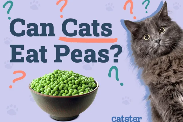 Can Cats Eat Peas? Vet-Reviewed Facts & FAQ