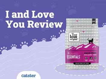 I & Love & You Cat Food Review in 2026: Recalls, Pros & Cons