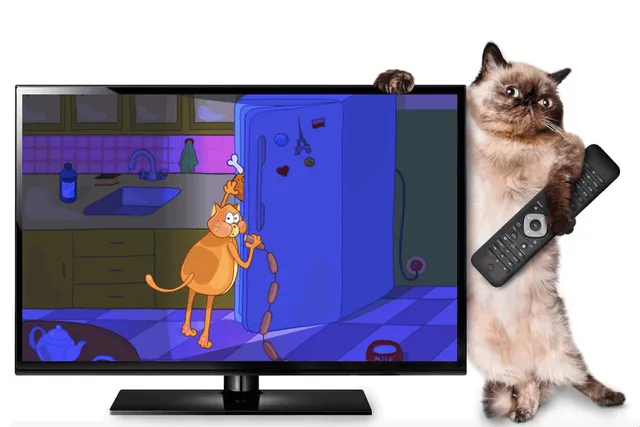 44 Famous Cartoon & Anime Cats (With Pictures & Videos)