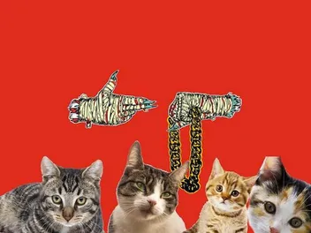 We Chat With Cat Rapper EL-P About "Meow the Jewels," a Crowd-Sourced Prank