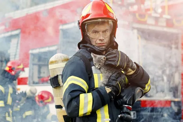 How to Prepare For a House Fire With Cats: 8 Vet-Approved Tips