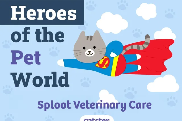 Sploot Veterinary Care | Heroes of The Pet World