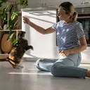 Can Cats Be Trained Like Dogs? Vet-Approved Tips & Tricks