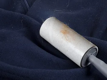 How to Get Rid of Cat Hair on Clothes: 4 Easy Ways