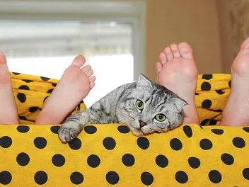 How Can I Stop My Cat From Waking Me Up? 20 Tips & FAQ