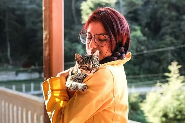 Vet-Reviewed Tips for Being a Good Cat Foster Parent