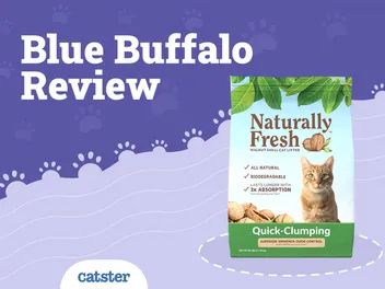 Blue Buffalo Cat Litter Review of 2026: Recalls, Pros & Cons