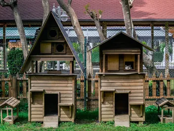 9 Best Cat Houses in 2026 - Reviews & Top Picks