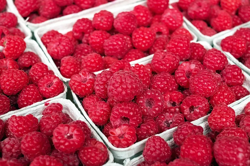 raspberries in cartons