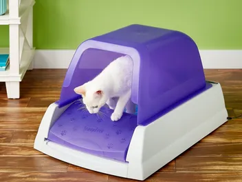 9 Best Crystal Cat Litters of 2026 - Reviews & Top Picks