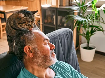 The Surprisingly Sweet Reason Behind Cats Chewing Human Hair (and Others)
