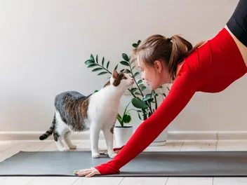 Do Cats Recognize Their Owners? Vet-Verified Facts & FAQ