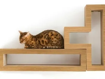 KATRIS Modular Cat Shelves Review (2026): Pros, Cons & Features