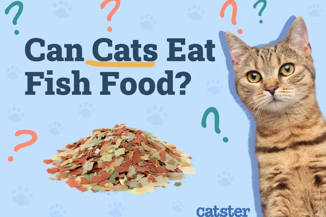 Can Cats Eat Fish Food? Vet-Approved Facts & Healthy Alternatives