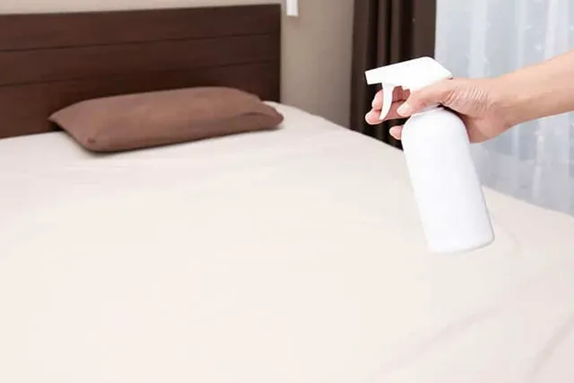 Will Bed Bug Spray Hurt My Cat? What You Should Know!