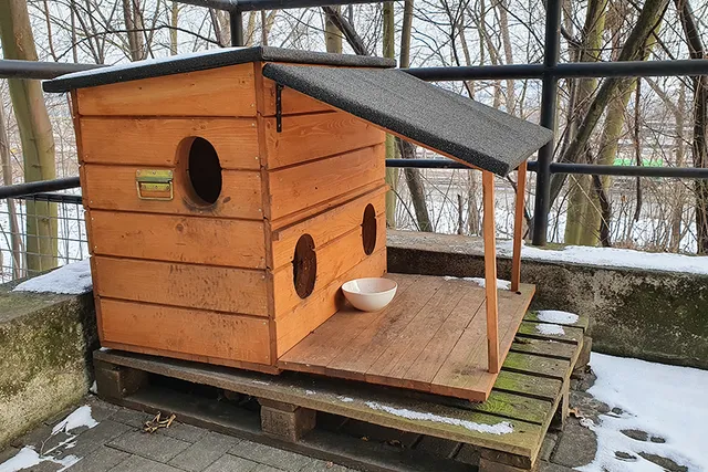 9 DIY Outdoor Cat House Plans You Can Make Today (With Pictures)
