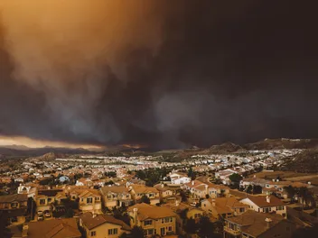 Pets & Wildfire Smoke: 9 Vet-Approved Tips to Keep Your Cat Safe