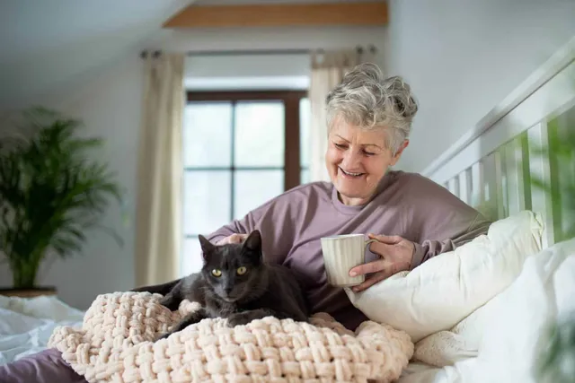 Why Does My Cat Sit On Me All The Time? 6 Vet-Verified Reasons