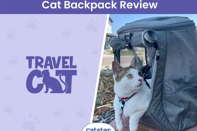 Travel Cat "The Navigator" Convertible Cat Backpack Review 2026: A Detailed Look