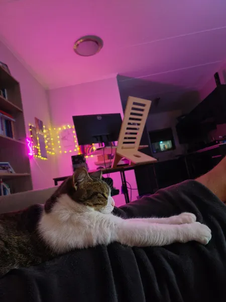 Lounging time with Milly