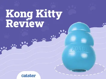 Kong Kitty Kong Cat Toy Review of 2026: Pros, Cons & Verdict
