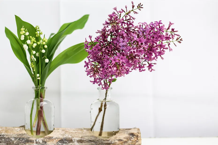lily of the valley on a small vase