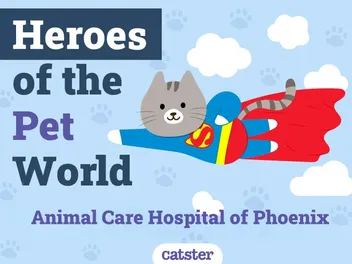 Animal Care Hospital of Phoenix | Heroes of The Pet World
