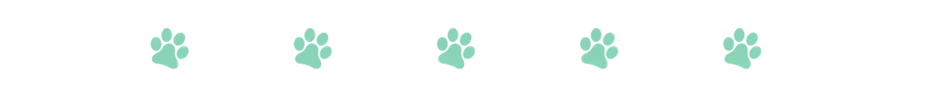cat paw divider