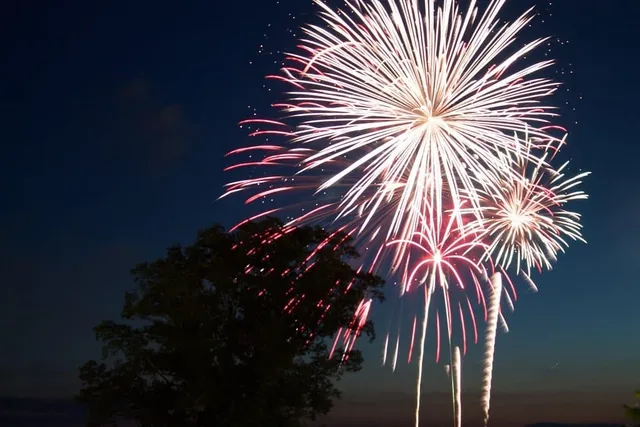 How to Calm Your Cat During Fireworks: 6 Vet-Approved Tips & Tricks