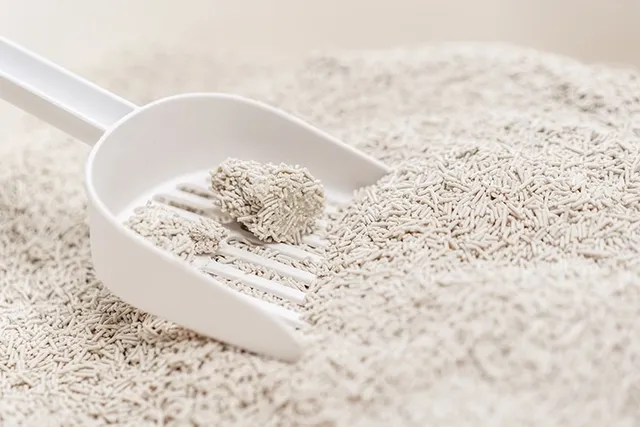 6 Ways to Save Money on Cat Litter: 2026 Price Guide & FAQ