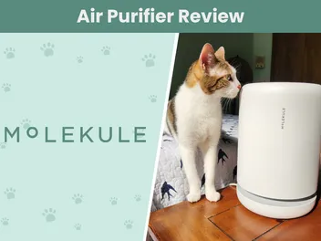 Molekule Air Mini+ Review 2026: A Detailed Look