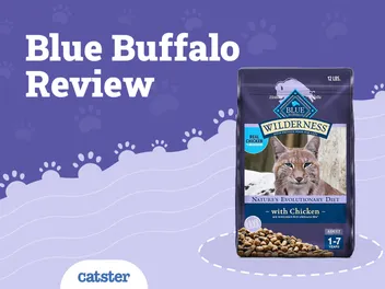 Blue Buffalo Cat Food Review in 2026: Recalls, Pros & Cons