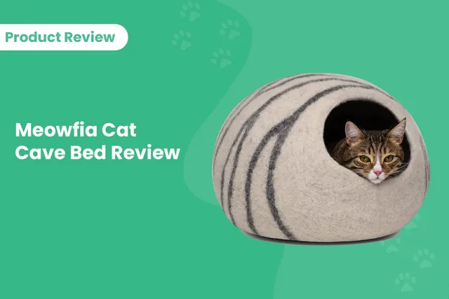 Meowfia Cat Cave Bed Review 2026: Pros, Cons & Verdict