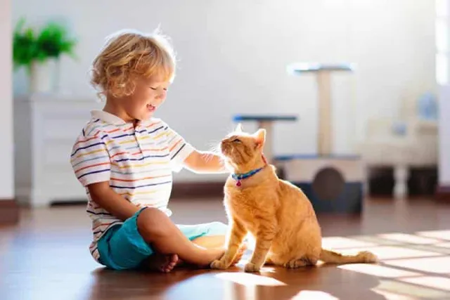 Cats & Toddlers: 6 Tips How to Keep the Peace Between Your Pet & Child (Vet-Verified)